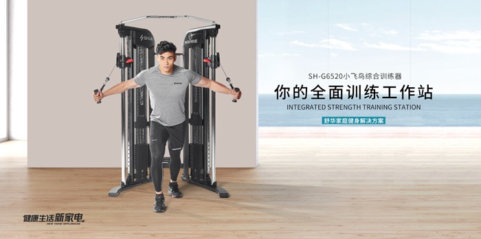 leyu.乐鱼健身器材-小飞鸟综合训练器SH-G6520 leyu.乐鱼健身器材-小飞鸟综合训练器SH-G6520