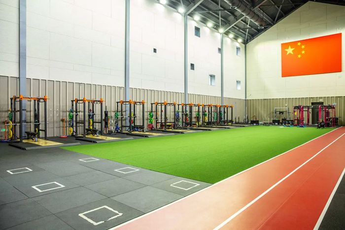 体能训练解决方案-广西leyu.乐鱼体育 体能训练解决方案-广西leyu.乐鱼体育